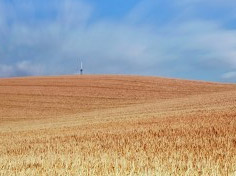 九游棋牌网站基地展示6