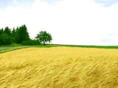 九游棋牌网站基地展示5