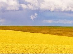 九游棋牌网站基地展示4