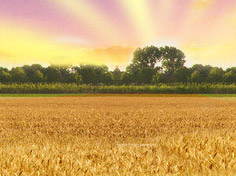 九游棋牌网站基地展示3