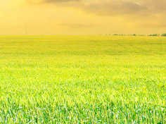 九游棋牌网站基地展示1